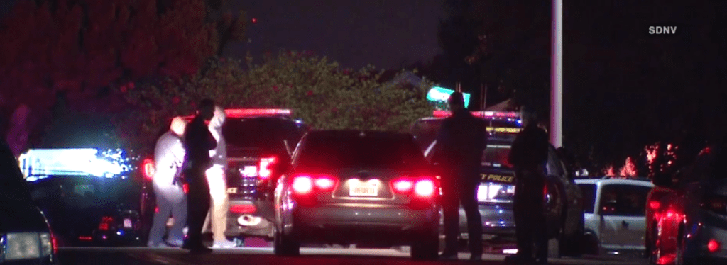 carjacking suspects