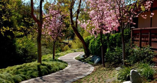 Japanese Friendship Gardens